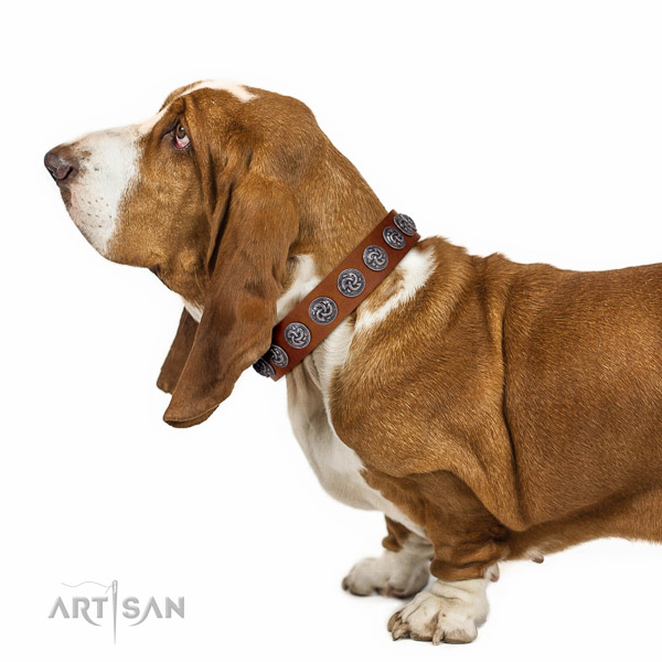  Comfortable Basset Hound Collar for Daily Activities